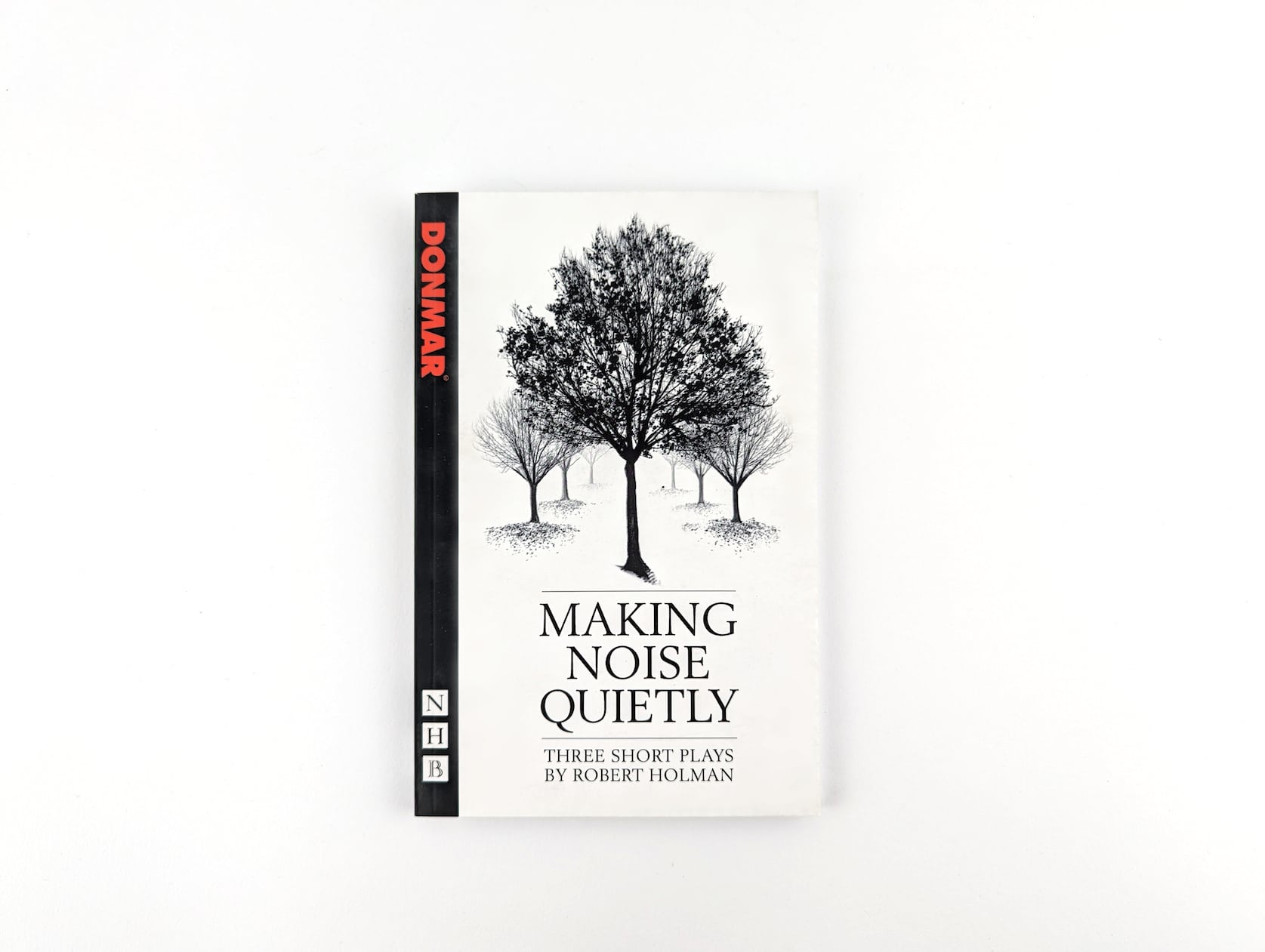 Making Noise Quietly by Robert Holman